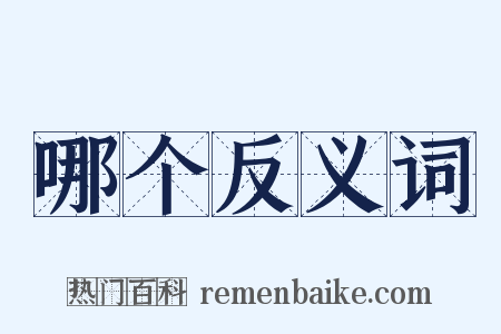 哪个反义词是什么意思的图片